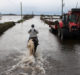 River Shannon Flood Michael Fitzmaurice Denis Naughten Flood Risk Management Shannon Shannon System Flood Alliance