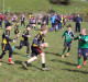Carrick Rugby